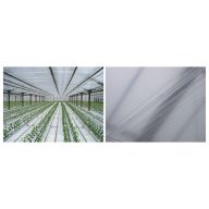 Fólia TVK 10x100m 0,06 vnútorná UV Bezkvapová S1BC