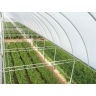 Fólia TVK 12x60m 0,15 UV 2 ročná S2N