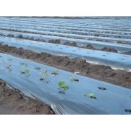 Fólia TVK 16x35m 0,18 čierna UV 1 ročná S1F