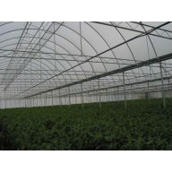 Fólia TVK 8.5x60m 0,12 Natur SON