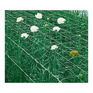 Držiaca sieť pre rastliny  12,5x12,5x500m (1m široká)