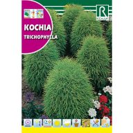 Letný cyprus (Kochia tricophylla) Rocalba 8 g