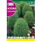 Letný cyprus (Kochia tricophylla) Rocalba 8 g