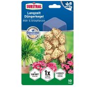   Substral Osmocote dlhotrvajúca tableta pre kvitnúce a zelené rastliny, 10 ks