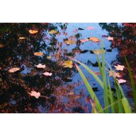 Sieť na zachytenie zelene 3x6 m