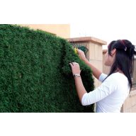 Umelý plot Campovert 1m x 3m