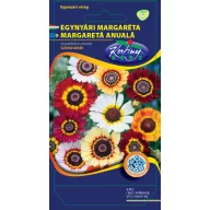 Letnička margaréta zmes farieb 1g