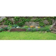 Záhonový pás Wilborder 0,31x1 m