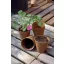 Rašelinový črepník  Growing pot 6 cm