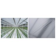 Fólia TVK 12x100m 0,09 Vnútorná UV Bezkvapová S1BC