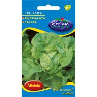 Šalát hlávkový zimný maslový 2,5g