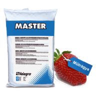 Master 20-20-20+TE 25kg