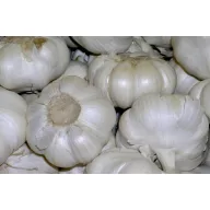 Cesnak na sadenie 5 kg