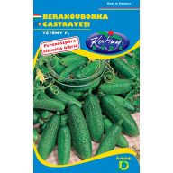 Uhorka (na nakladanie) Tétény    F1 1g 