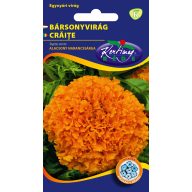 Aksamietnica nízka veľkokvetá (pomaranč) 1g