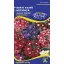 Verbena zmes farieb 0,5g
