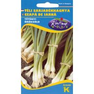 Cibuľa zimná mládnik  Bajkál 2g