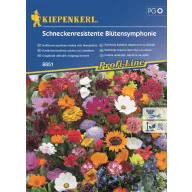   Kvetinová symfónia odolná proti slimákom na 2 m2 Kiepenkerl