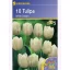 Tulipánové cibule Triumf, Kiepenkerl White Dream 10 ks