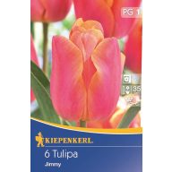 Tulipánové cibule Triumf, Kiepenkerl Jimmy 6 ks