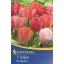 Tulipánové cibule Darwin-hybrid, Kiepenkerl Van Eijk Mix 7 ks