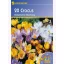 Krókus cibule, botanický Kiepenkerl Mix 20 ks