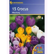Krókus veľkokvetý Kiepenkerl Mix 15 ks