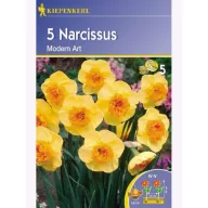 Narcis cibule Kiepenkerl Modern Art 5 ks
