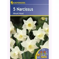 Narcis cibule Kiepenkerl Mount Hood 5 ks