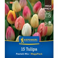   Tulipánové cibule Megapack, Kiepenkerl Pastell Farbenspiel 17 ks