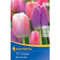   Tulipánové cibule Darwin-hybrid, Kiepenkerl Big Pride Mix 10 ks