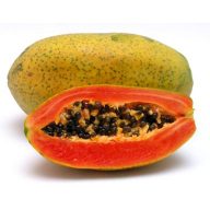 Papaya (Carica Papaya) 5 semien