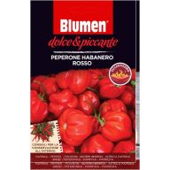   Červená habanero paprika – extrémne štipľavá 20 semien