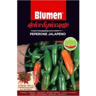 Jalapeno pepperóni – štipľavé 20 semien