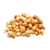 Sadzačka šalotka  Red Sun 250g