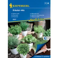 Zelené bylinky Mix Kiepenkerl