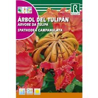 Africký tulipán (Spathodea campanulata)