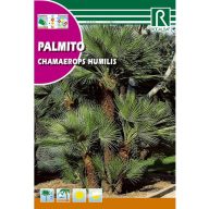 Palmička nízka (Chamaerops humilis)