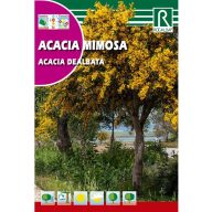 Akácia sivozelená (Acacia dealbata)