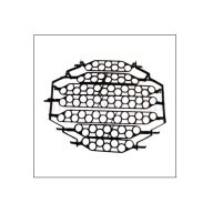 Otočná mriežka na 71 ks prepeličích vajíčok