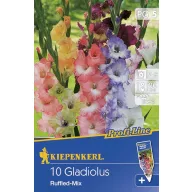 Cibule kvetov Kiepenkerl Mečík Ruffled Mix 5 ks