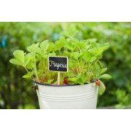 Označovacia tabuľa, drevená 20,5x8,6x6cm, 4ks