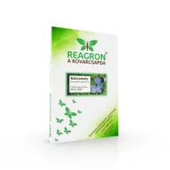   Feromónová pasca Reagron slivková molica (Grapholita funebrana) základná pasca