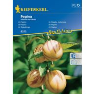 Dyňa Pepino Kiepenkerl 10 semien