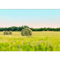   Profesionálne trávne osivo zmes Naturmix (suchoodolné) 25 kg