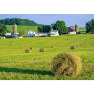   Profesionálne trávne osivo zmes Energy (vlhké plochy) 25 kg