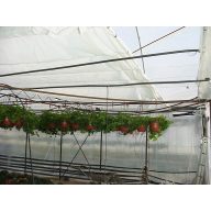 Raschel-sieť (hustá) biela 6x50m 70g/m2