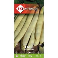 Kríčková žltostruká fazuľa Odir 50g ZKI