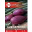 Šunková cibuľa fialová Long red Florence 2 g ZKI