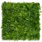 Zelená stena s tropickými rastlinami Vertical Tropic 1x1 m